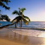 The Importance of Scannable Content in Property Listings