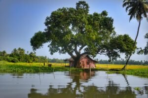 15 Days Ayurvedic & Rejuvenation Tour in Kerala – Experience Wellness & Healing Retreats