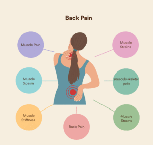 Targeted Support for Back and Body Pain