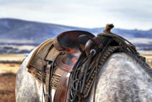 Finding the Perfect Saddle for You and Your Horse