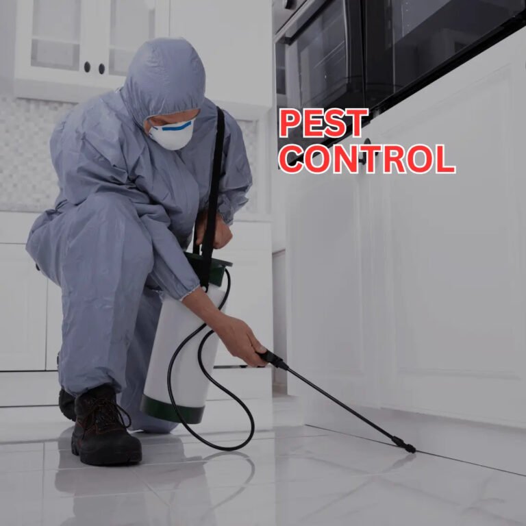 Pest Control Services – Protect Your Space and Live Pest-Free All Year Round