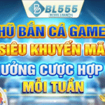 BL555