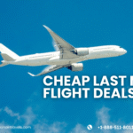Cheap Last Minute Flight Deals: How to Save Big on Urgent Travel | Call +1-888-511-8011