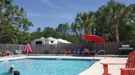 Discover the Best Steinhatchee Campgrounds: Your Guide to Camping in Steinhatchee, FL