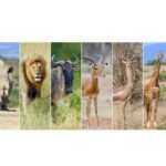 Turn Down the Heat, Turn Up the Tolerance: A Practical Approach