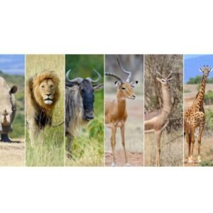 Turn Down the Heat, Turn Up the Tolerance: A Practical Approach