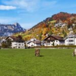 Wandering Through Switzerland