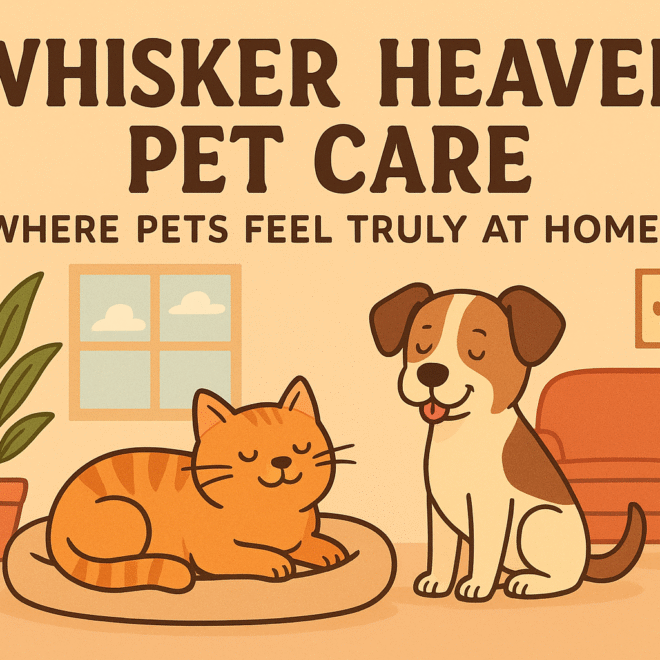 Whisker Heaven Pet Care – Where Pets Feel Truly at Home