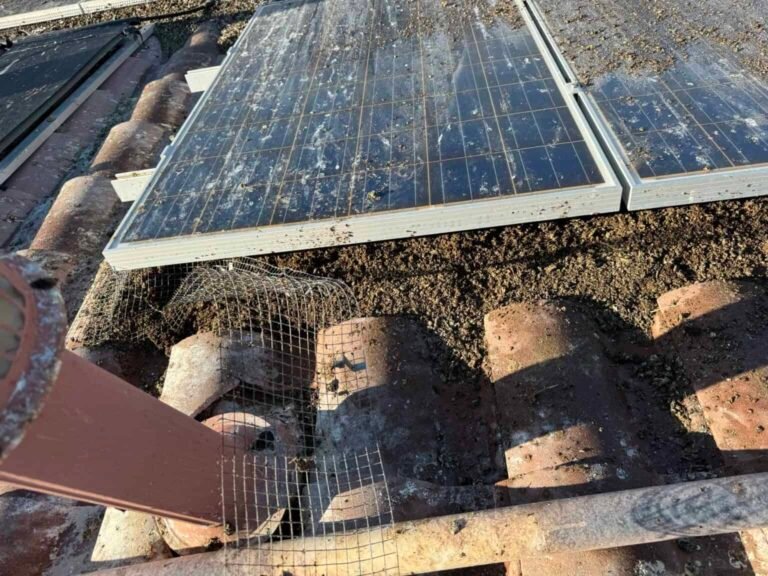 SolarFIX AZ: Complete Solar Panel Protection & Maintenance Solutions for Long-Lasting Performance