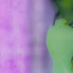 What Makes the Sp5der Hoodie a Must-Have Streetwear Essential