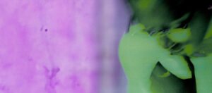 What Makes the Sp5der Hoodie a Must-Have Streetwear Essential