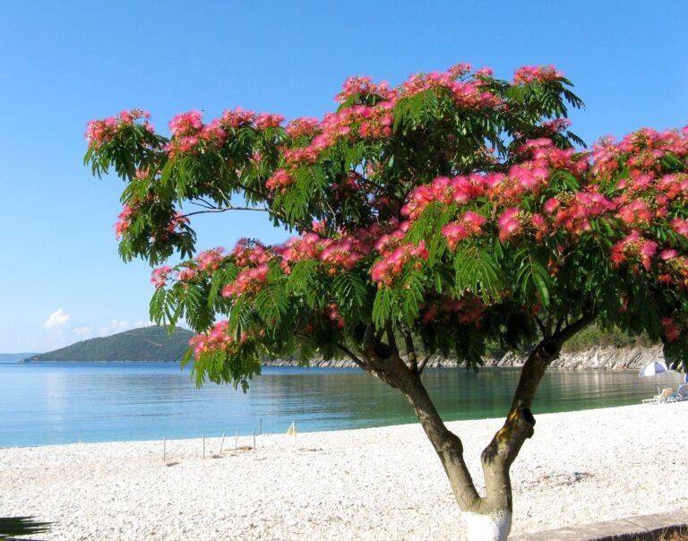 The Evolution of Sustainable Living in Dubai