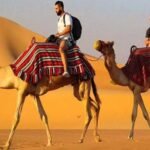 Experience an Unforgettable Desert Safari Sharjah Adventure