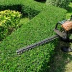 Hedging Services in Brisbane