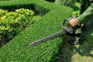 Hedging Services in Brisbane
