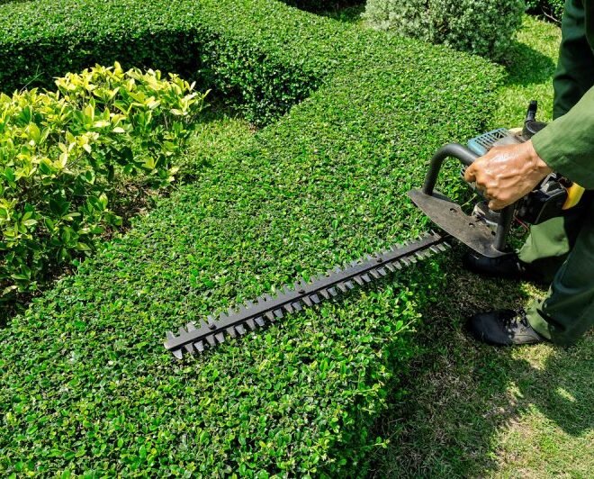 Hedging Services in Brisbane