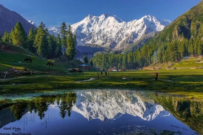 Fairy Meadows & Hunza Valley Tours | Adventurer Treks and Tours