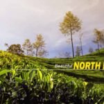 North Bengal Package Tour – Enjoy Serene Landscapes and Cultural Charm
