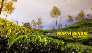 North Bengal Package Tour – Enjoy Serene Landscapes and Cultural Charm