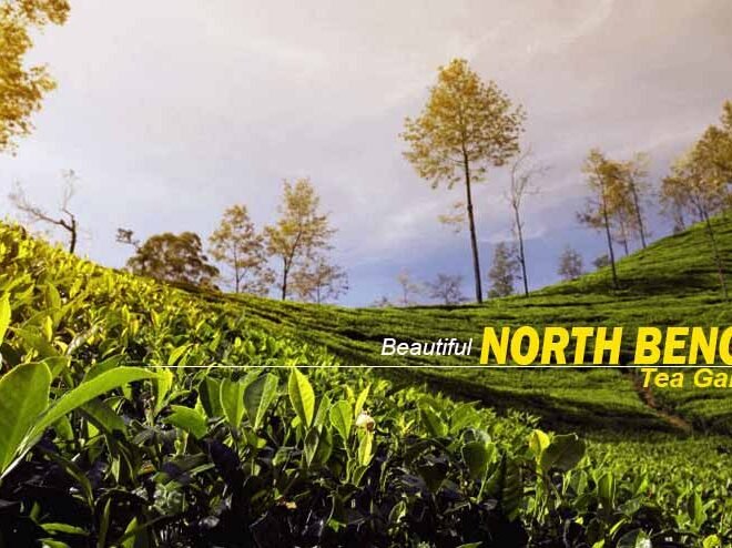 North Bengal Package Tour – Enjoy Serene Landscapes and Cultural Charm