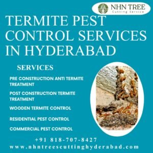 Termite Pest Control Services in Hyderabad