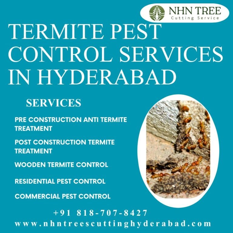 Termite Pest Control Services in Hyderabad