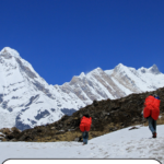 Exploring Nature with Universal Adventures: Experience the Best of Dudhsagar Trek