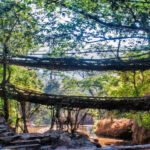 Raipur to Champaran Taxi | Raipur to Champaran Cab