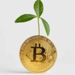 Crypto Staking vs. Yield Farming: Which Passive Income Strategy Is Right for You?
