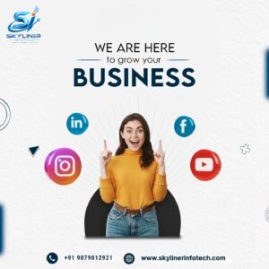 Digital Marketing Company in Jaipur, India – Skyliner Infotech