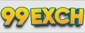 The Ultimate My99Exchange Review and User Guide