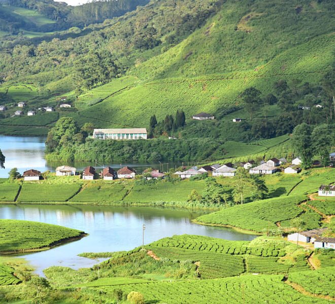 Kochi to Munnar cab price | Check Taxi Fare & Book Online