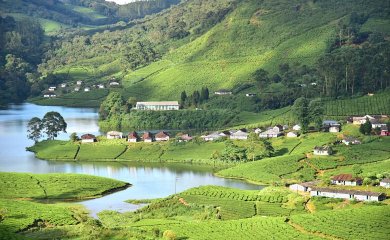 Kochi to Munnar cab price | Check Taxi Fare & Book Online