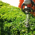 Hedging Services Melbourne