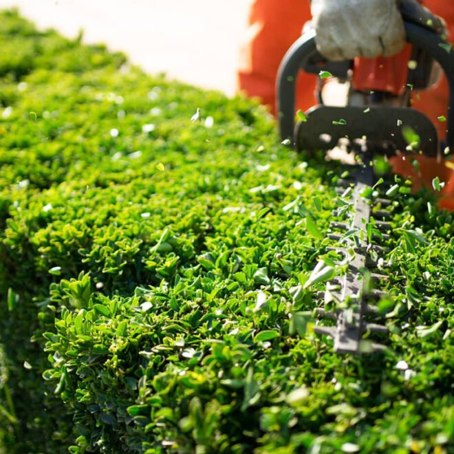Hedging Services Melbourne