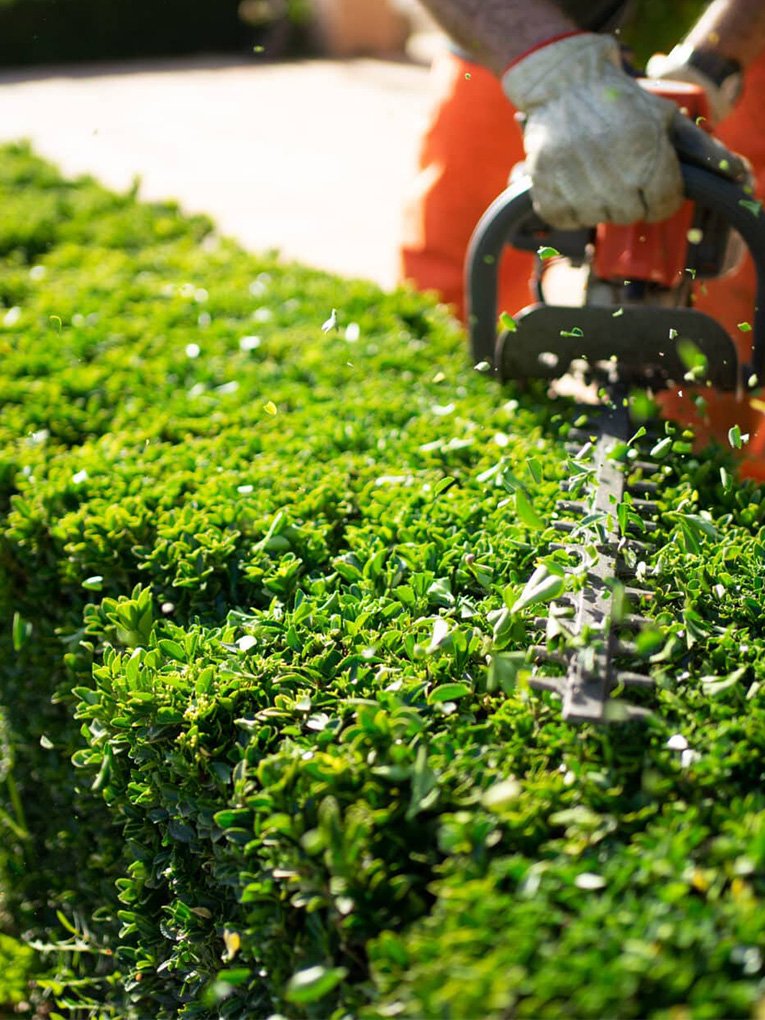 Hedging Services Melbourne