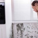 Best Mold Remediation Tools for Safe and Effective Cleanup