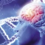دكتور مخ واعصاب وتقييم أعراض ضعف الإحساس والحركة