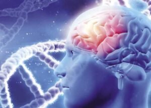 دكتور مخ واعصاب وتقييم أعراض ضعف الإحساس والحركة