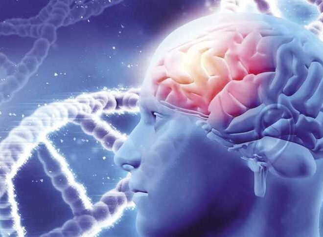 دكتور مخ واعصاب وتقييم أعراض ضعف الإحساس والحركة