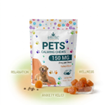 CBD for Pets: What Pet Owners Should Know