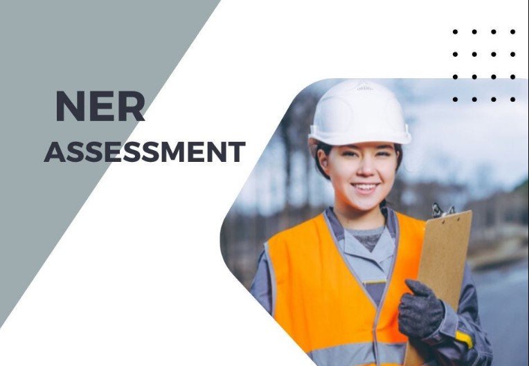 Navigating Professional Recognition with Engineering NZ Membership