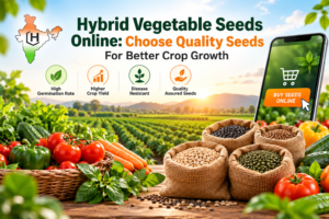 Hybrid Vegetable Seeds Online: Choose Quality Seeds For Better Crop Growth