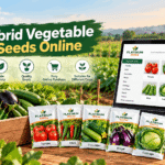 Hybrid Vegetable Seeds Online: A Guide to Better Crop Selection
