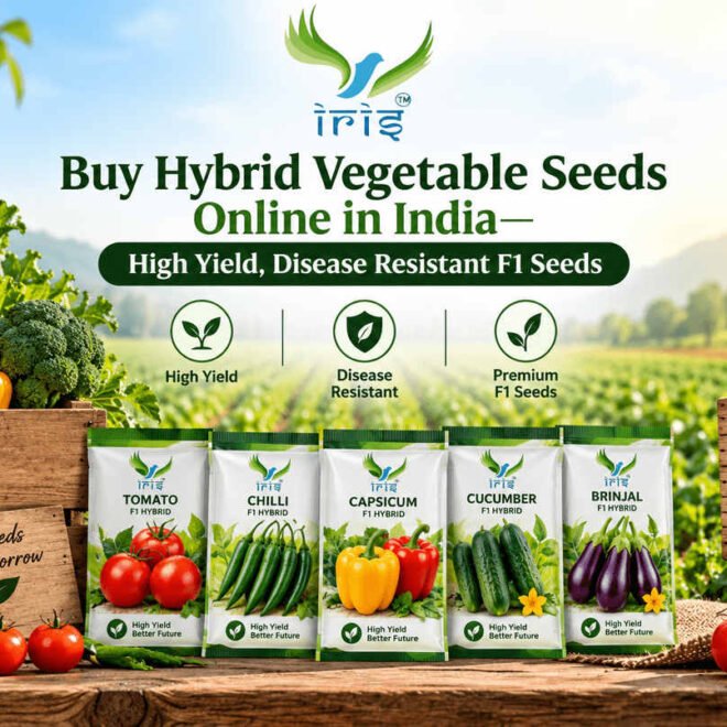 Hybrid Vegetable Seeds Online: Choose Quality Seeds For Better Crops