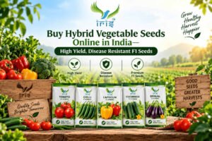 Hybrid Vegetable Seeds Online – Buy High-Quality F1 Hybrid Seeds in India