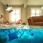 Mold After Water Damage: Causes, Warning Signs, and Prevention