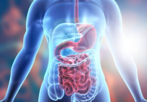 Germany’s Digestive Remedies Sector Reflects Growing Attention to Everyday Gut Health