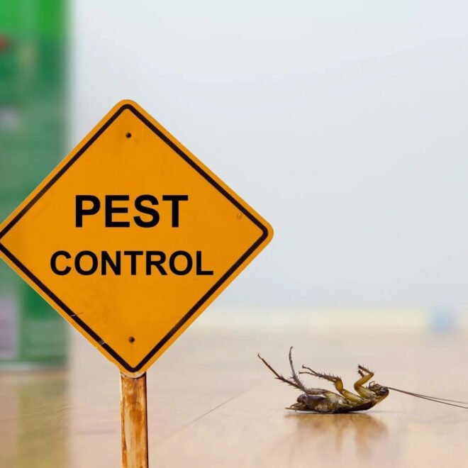 The Complete Guide to Pest Control, Tooele, and Home Protection