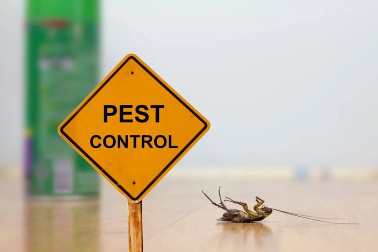 The Complete Guide to Pest Control, Tooele, and Home Protection